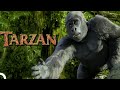 Tarzan - Çizgi Film (Türkçe Dublaj HD)