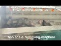 Brush fish scale removing machine fish scaler fish scale remover seafood processing equipment