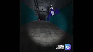 Look At The Top Of His Head