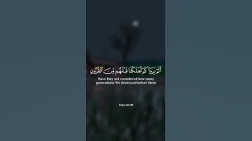 ﴿يا حسرة على العباد...﴾ تلاوة خاشعة للقارئ الشيخ ماهر المعيقلي 🍁