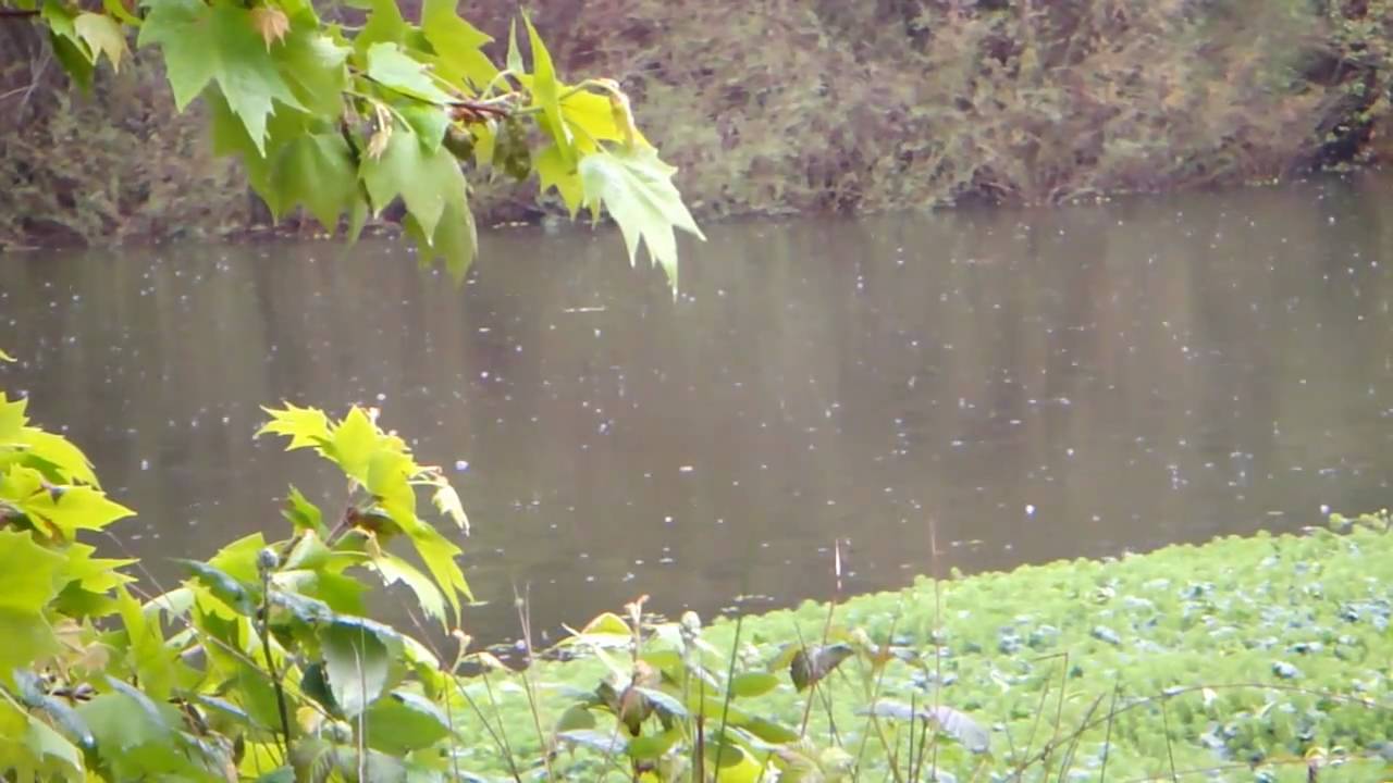 も*ー様 時雨　A 8maisetto ♥♥ 