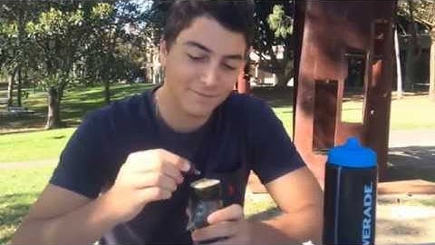 isys 100 food reviews