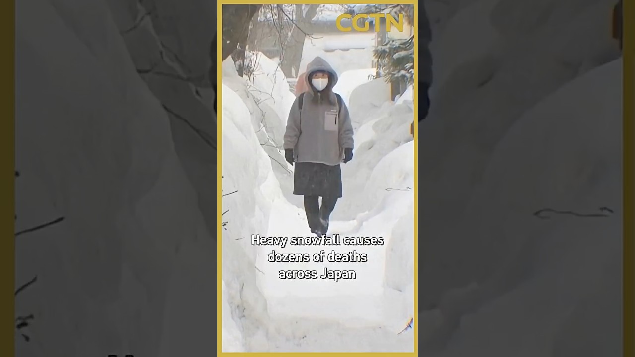 Heavy snowfall causes dozens of deaths across Japan