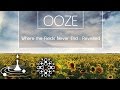Ooze - Quintessence