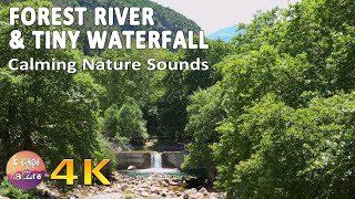 4K Nature sounds - River & Tiny Waterfall - Meditation Relaxation Birds singing - Water sounds