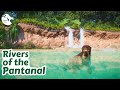 Deep Diving With Giant Otters | Houston Zoo Recreation Ep.23 | Planet Zoo