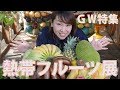咲くやこの花館【熱帯フルーツ展レポート】2017GW の動画、YouTube動画。