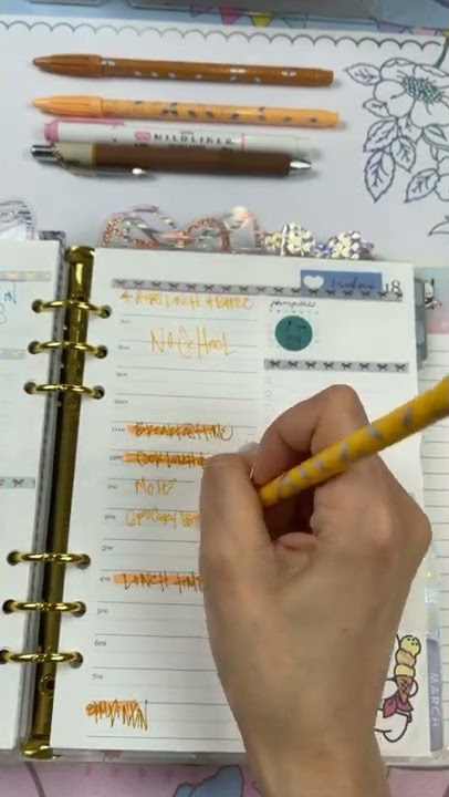 Daily Duo Plan with me Erin Condren A5 agenda