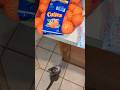USPS Mailman Aldi Grocery Haul under $50