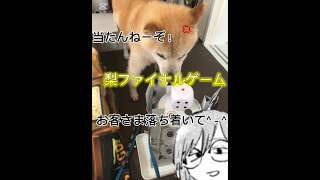 【参加型】アヒルを救出させろ