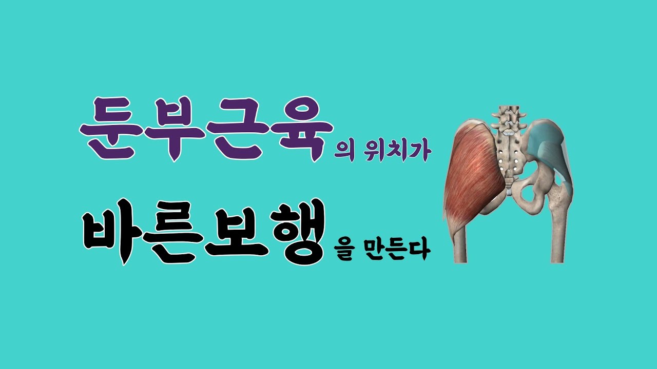 [ 마름모코어 시즌 2-38 ] 저항으로 만들어진  둔부근의 위치는 바른 정렬과 보행을 만든다 / 둔부근 강화 운동 실전편