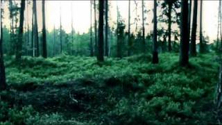 Watch Christina Aguilera Birds Of Prey video