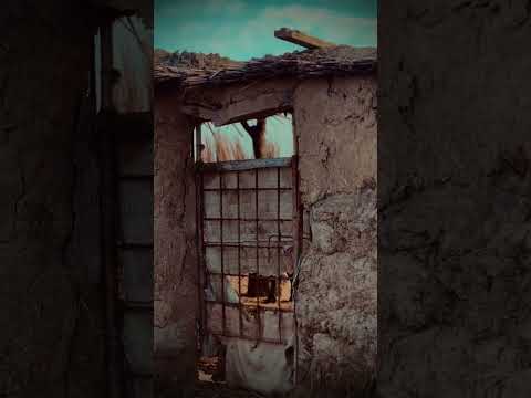 بويه الروح تعبانه وبعد ماعدها راحه