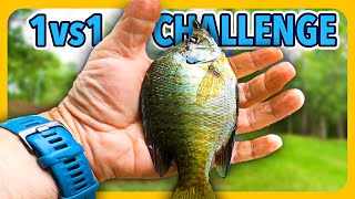 Bluegill fishing, who can catch the biggest?