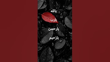 #صوت_جميل #تلاوة_خاشعة #رح_سمعك #اكسبلور #islam#viral #viral#300k#fyp#foryou