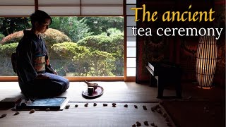 The Secret of Cha no Yu: When Tea Becomes Philosophy