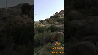 #beautiful vivo #love please like subscribe@beautifulgirlchannel1924 @popularcharts