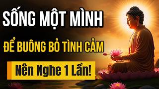 HỌC CÁCH SỐNG MỘT MÌNH: Buông Bỏ Tình Cảm Theo Lời Phật Dạy - Hết Phiền Muộn