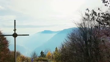 PDZ in cerca di foliages - Pubel