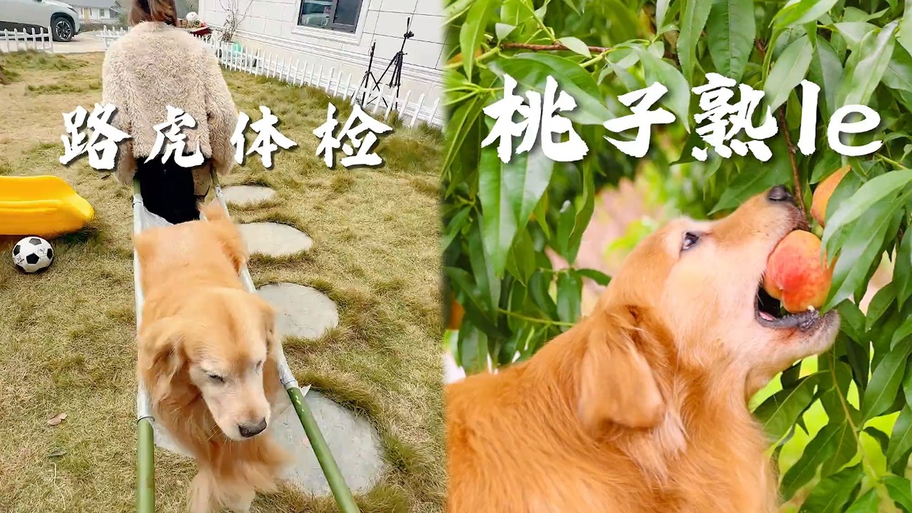 Вашим родителям плевать на ваши достижения вне дома; они просто хотят, чтобы вы были здоровы. #см...