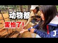 【ENG SUB】带西藏女孩逛动物园，对着大象喊恐龙！动物都瑟瑟发抖了【旅行嘉日记】