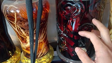 Vlog 395 - Các loại rượu ngâm..rượu chuối hột cô đơn.