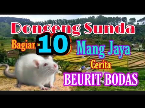 DONGENG MANG JAYA | BEURIT BODAS | BAGIAN KA 15-22