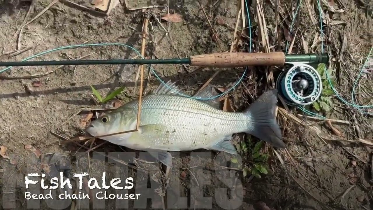 FishTales Fly Tying: Bead Chain Clouser
