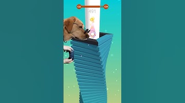 Stackball satisfied with relaxing  #gaming #stackball #relaxing #iphone #dog