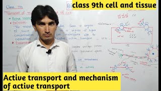 Active transport and mechanism of active transport | class 9th | chapter cell and tissue |