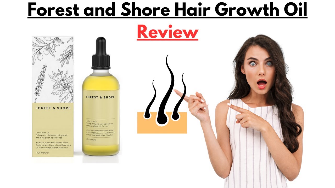 Mesmerizing Forest And Shore Hair Oil Artwork Art Mesmerizing Forest And Shore Hair Oil Artwork Art