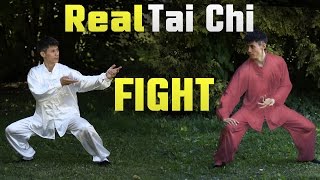 Tai Chi vs Tai Chi Fight Real Techniques screenshot 5