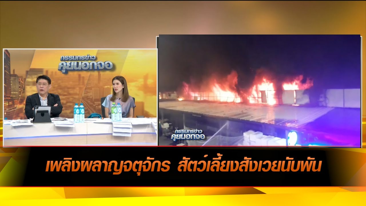 เพลิงผลาญจตุจักร สัตว์เลี้ยงสังเวยนับพัน