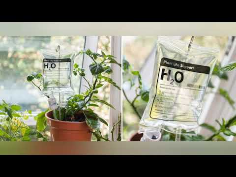 Video: Stimulansi Za Vaše Biljke