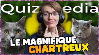 Le Magnifique Chartreux Quizypedia