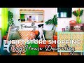 Tiny house makeover thrift store shopping