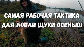 картинка: САМАЯ РАБОЧАЯ ТАКТИКА НА ЩУКУ ОСЕНЬЮ!