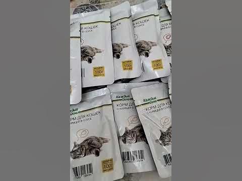 ВЛАЖНЫЙ КОРМ ДЛЯ КОШЕК КАЖДЫЙ ДЕНЬ ИЗ АШАН - YouTube