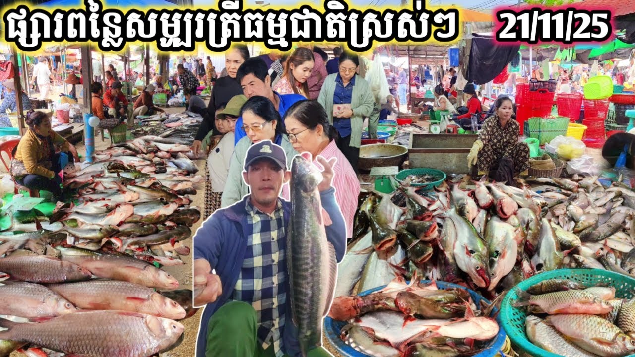 ត្រីធម្មជាតិស្រស់ៗ គ្រប់ប្រភេទនៅផ្សារពន្លៃថ្ងៃនេះ || TAT SOKKΕΑ - ΚΗ [Ep. 1091]