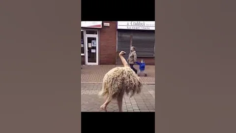 Skinwalkers caught on camera 😳 #shorts