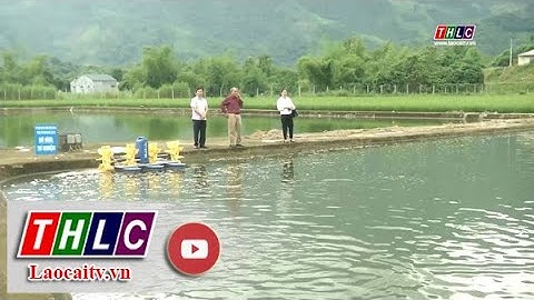 Đẩy mạnh ứng dụng tiến bộ khoa học vào thực tiễn sản xuất | THLC