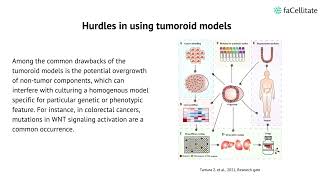 Organoids In Personalized Medicine