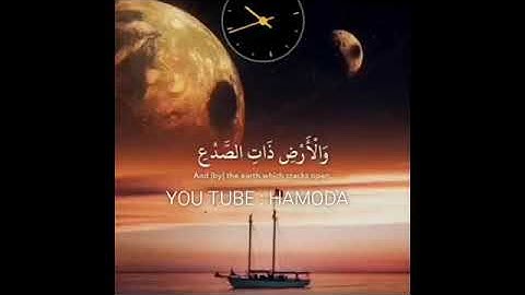 أرح سمعك🎧 || القارئ ماهر المعيقلي🎤 || حالات واتس اب دينية قران كريم || مقاطع انستقرام ||