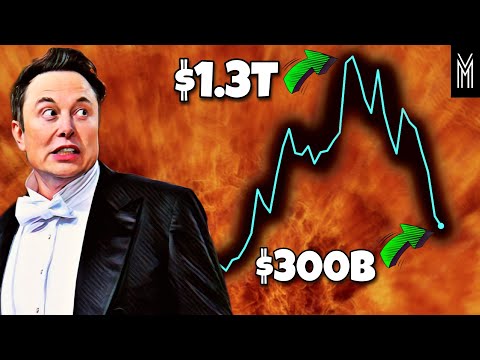 Tesla Stock Crash: Now Musk Must Choose Tesla Or Twitter!