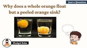 Why does a whole orange float but a peeled orange sink? | Just a Question | Mudgal Baba
