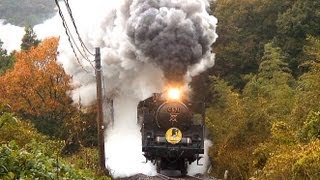 【中古】 七時雨の風/白山書房/七時雨の自然と語らう会 中古】 七時雨の風/白山書房/七時雨の自然と語らう会