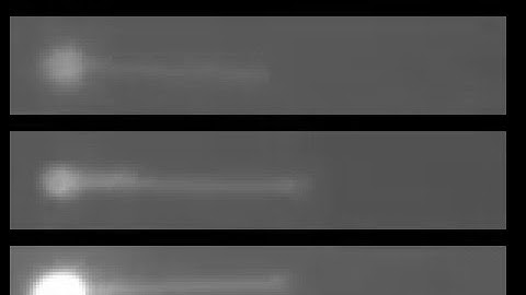 Mechanics and Single-Molecule Interrogation of DNA Recombination: Supplemental Video 3