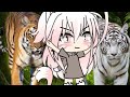 Roar  sub espaol gacha life zerina neko