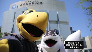 Join the Virginia Aquariums 2022 Virtual Turtle Trot 5K!