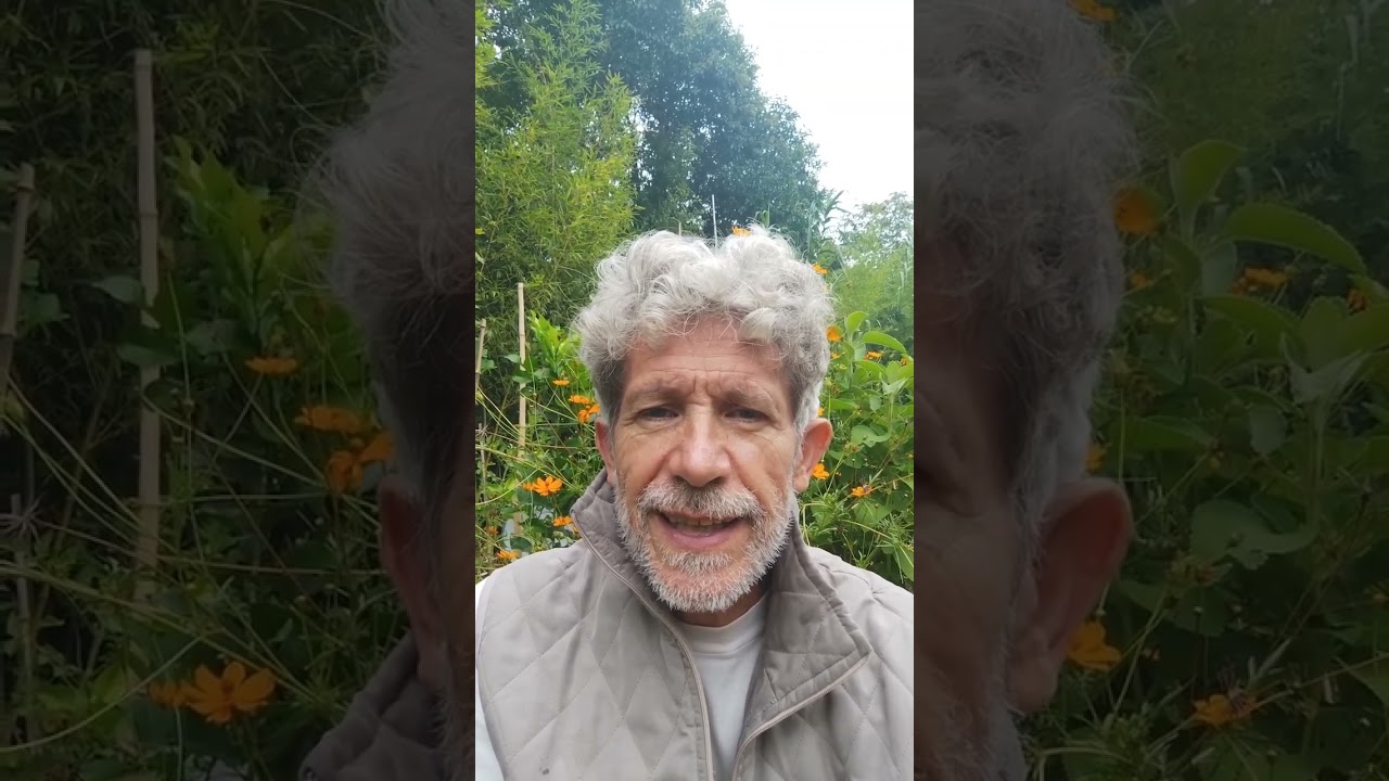 Taller de T.R.E. en Córdoba Capital los 2dos Lunes de mes de 18.30 a 21 hs.